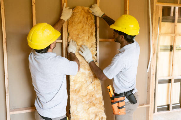 Best Insulation Repair Services  in Avondale, AZ